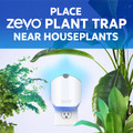 Place Zevo Plant Trap near houseplants.