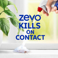 Zevo Trap and Kill Foam kills on contact.