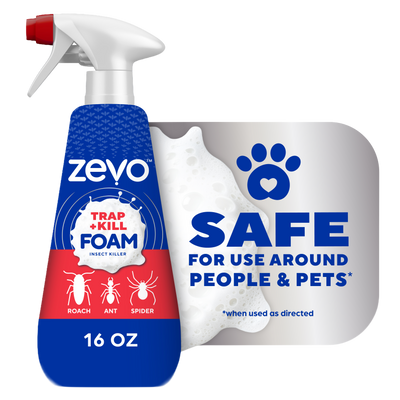 Zevo Trap & Kill Foam Insect Killer for Roaches & Spiders 16oz